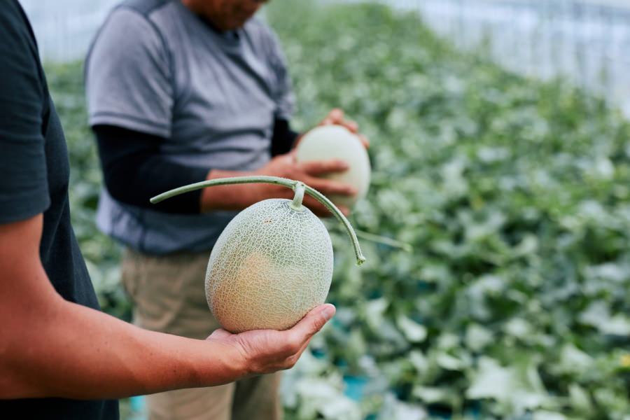 メロンを持っている人